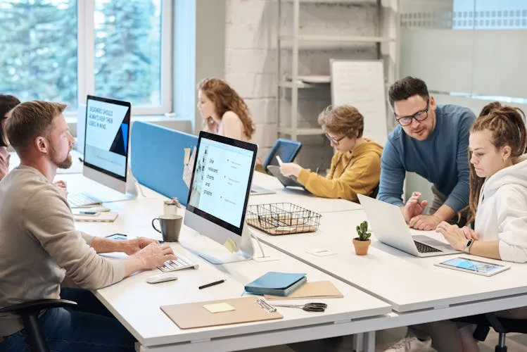 IT consulting team working together